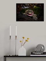 Smiley Poster och Canvastavla