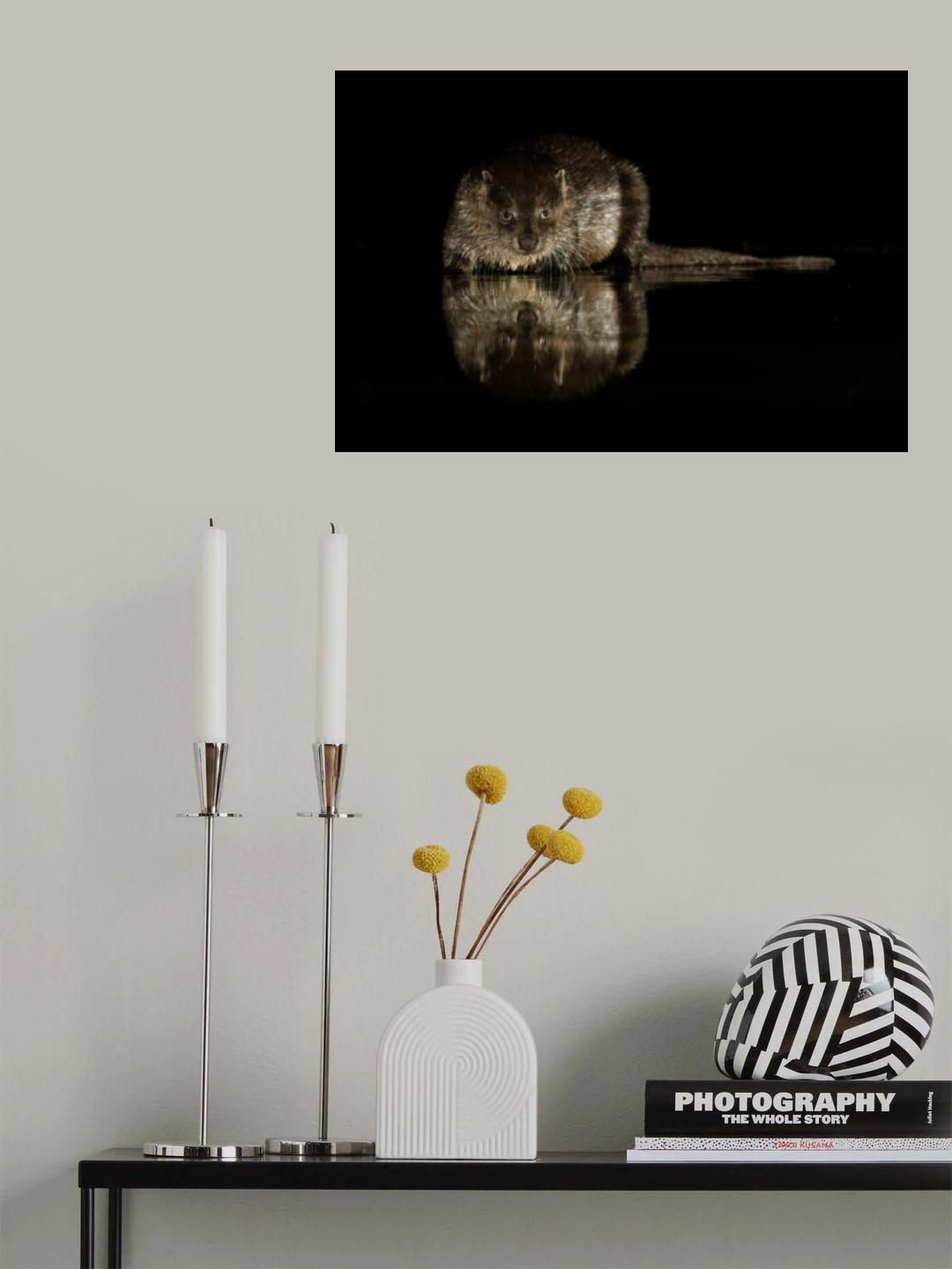 Otterly beautiful... Poster och Canvastavla