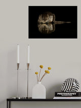 Otterly beautiful... Poster och Canvastavla