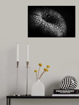 malum Poster och Canvastavla