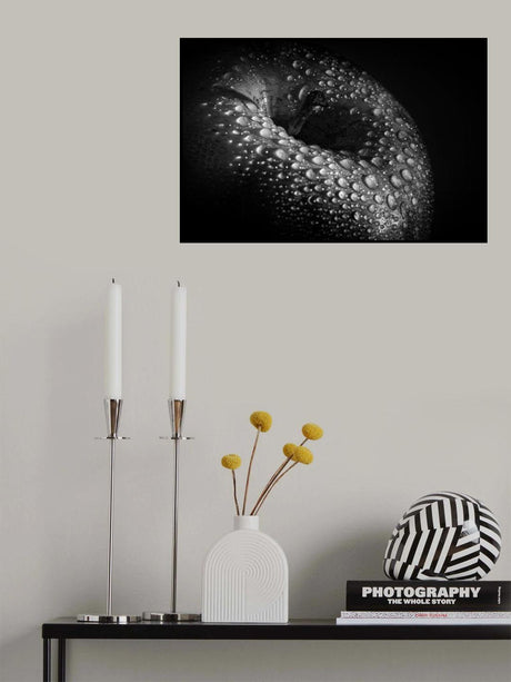 malum Poster och Canvastavla