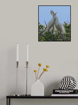 Lingering Poster och Canvastavla