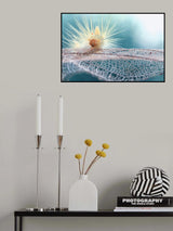 Hello Poster och Canvastavla