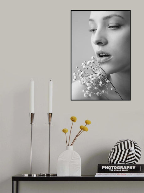 Gypsophila Poster och Canvastavla