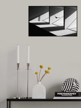 Searching way out Poster och Canvastavla