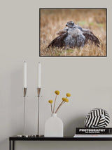 Protecting the kill Poster och Canvastavla