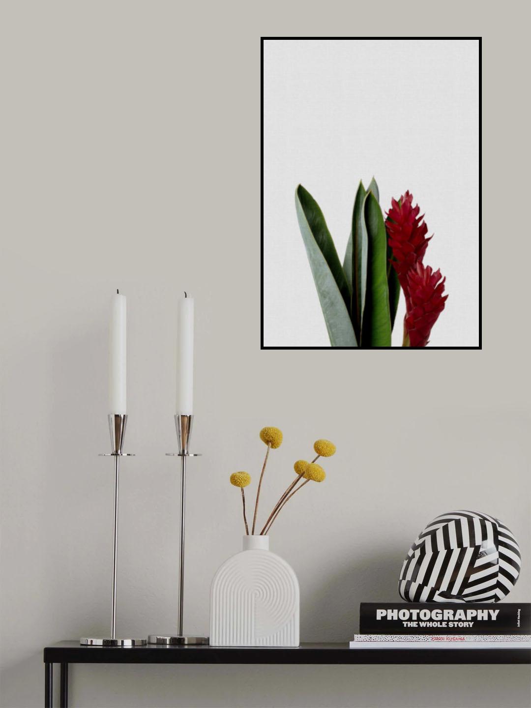 Red Flower Poster och Canvastavla