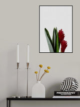 Red Flower Poster och Canvastavla