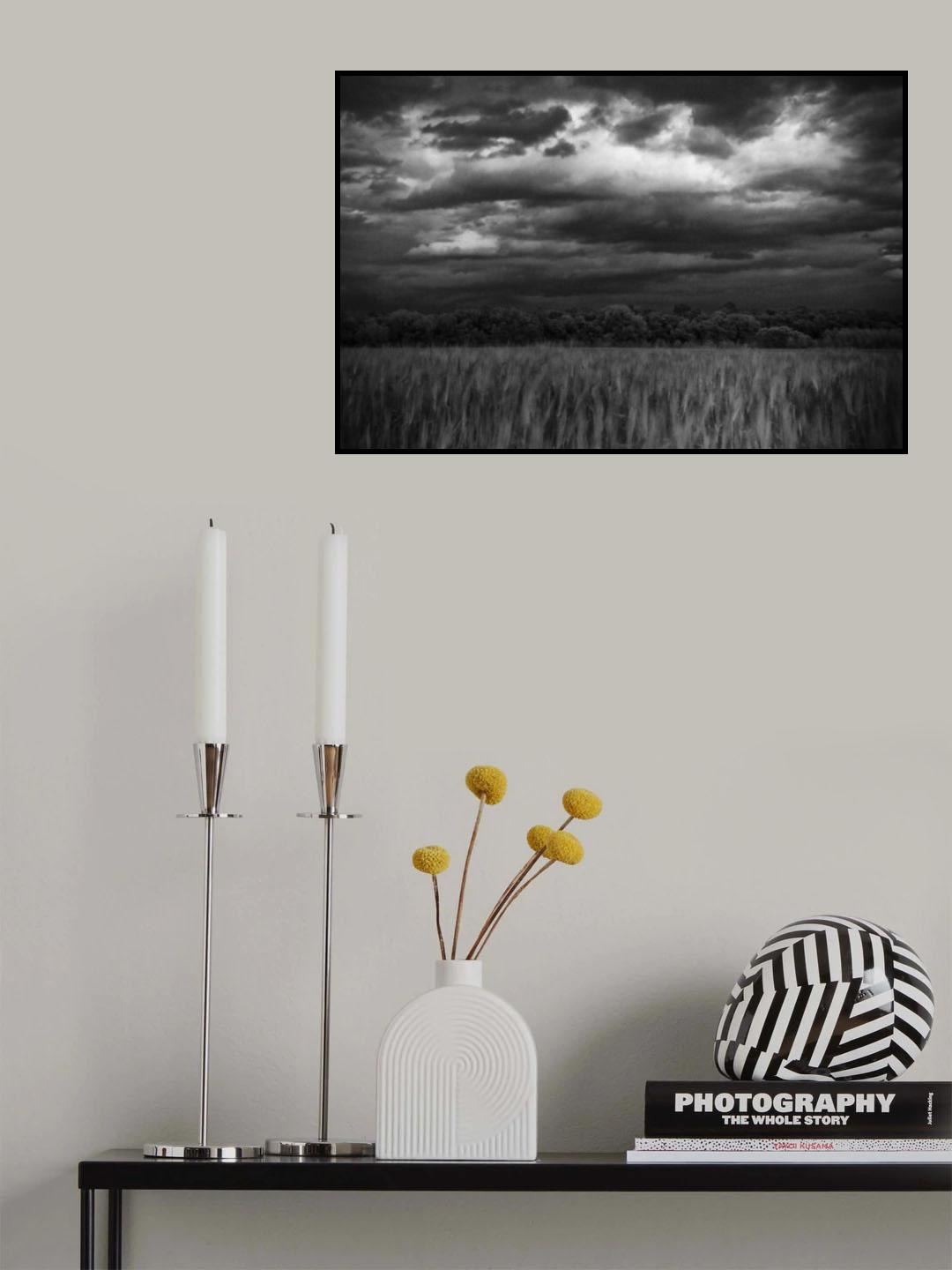 Poster och Canvastavla