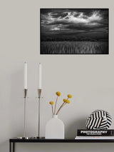 Poster och Canvastavla