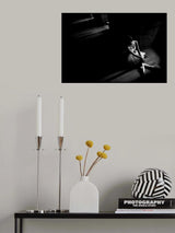 n/t Poster och Canvastavla