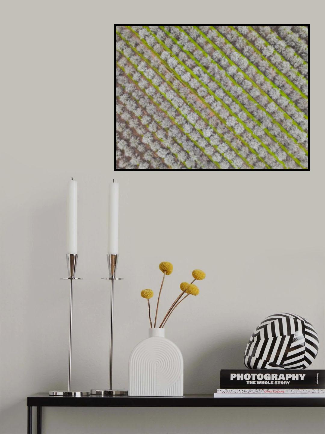 blossom time  green lines Poster och Canvastavla