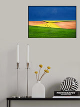 butterfly Poster och Canvastavla