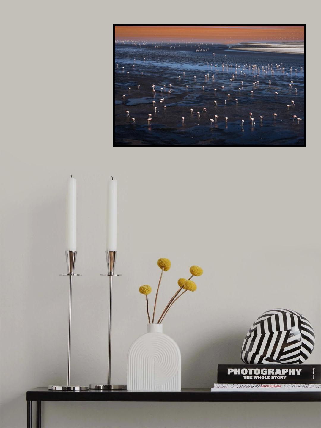 Colour conscious crowd Poster och Canvastavla