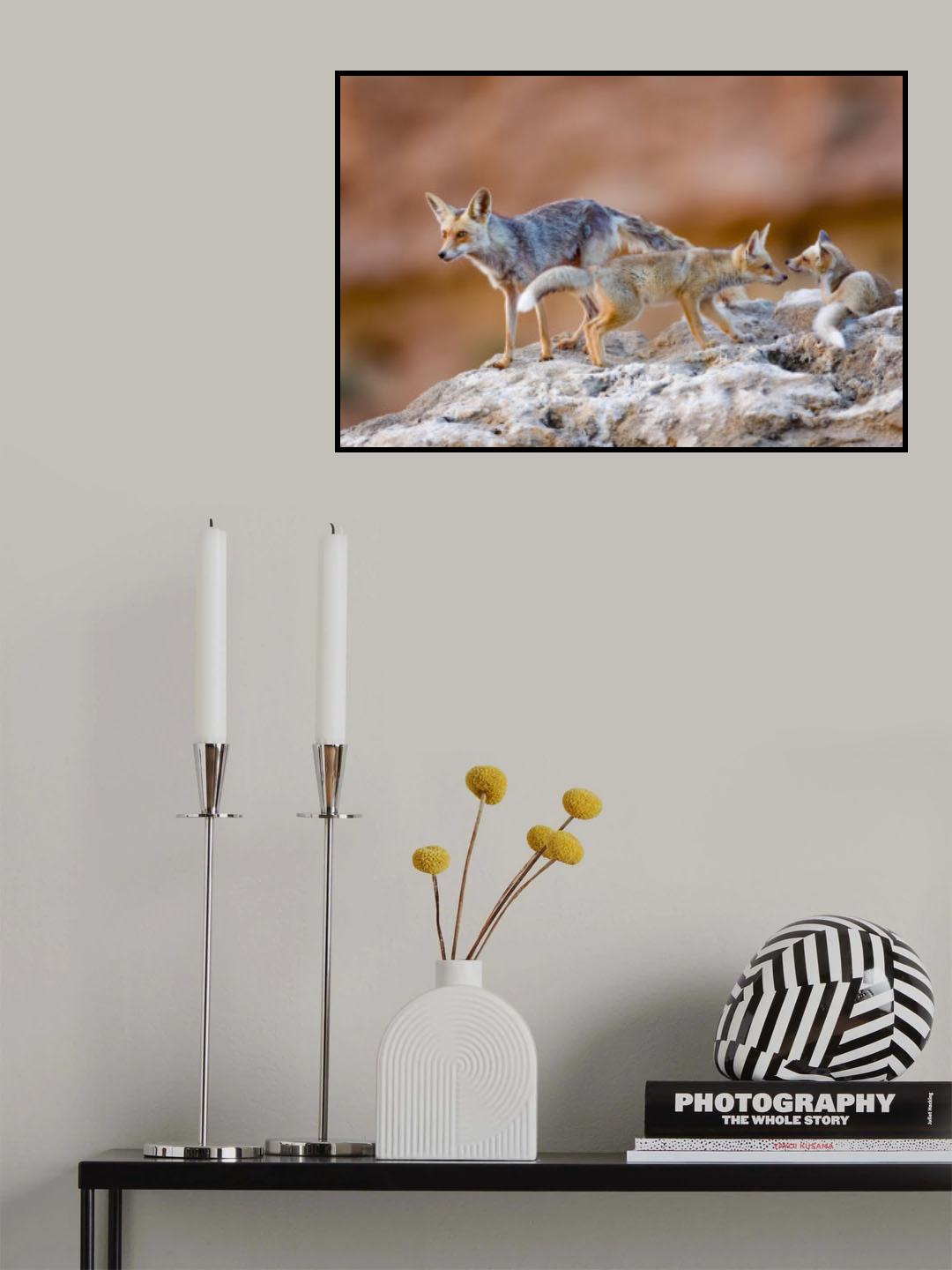Fox family Poster och Canvastavla