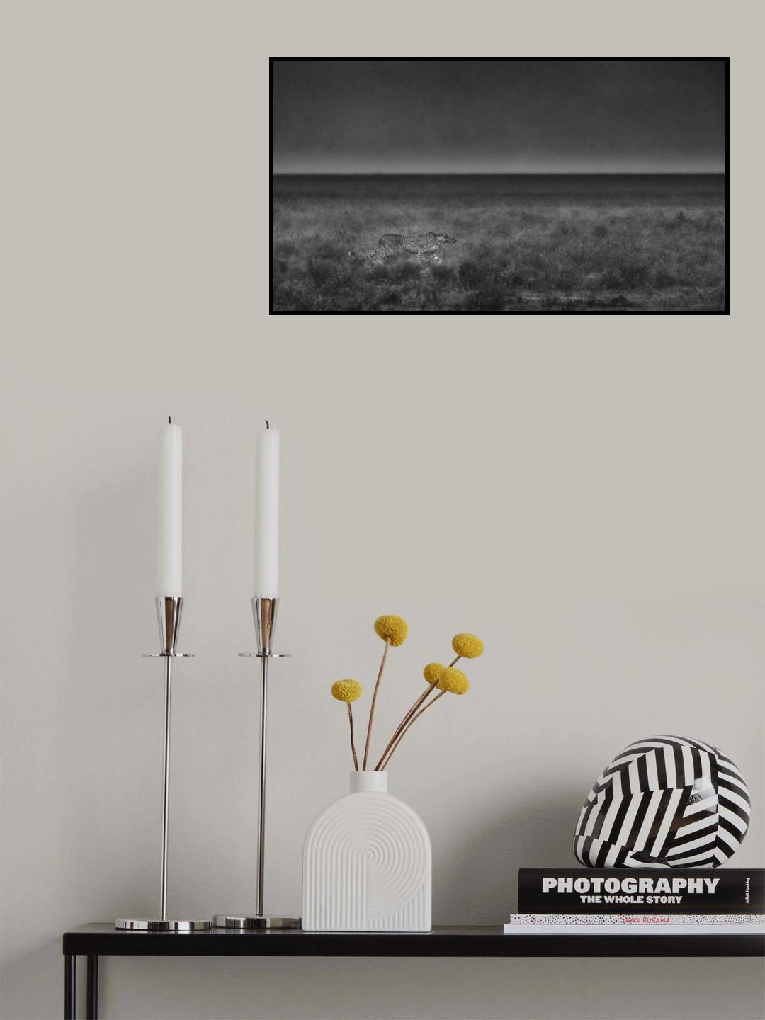 Taking off Poster och Canvastavla