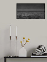 Taking off Poster och Canvastavla