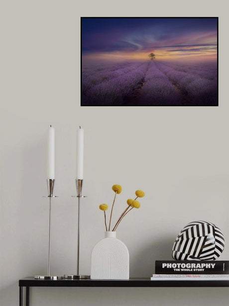 Misty Lavender Field Poster och Canvastavla