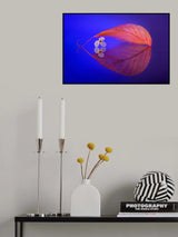 Flower in Heaven Poster och Canvastavla