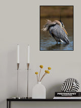 Keeping eye on you Poster och Canvastavla
