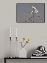 Great Egret Poster och Canvastavla