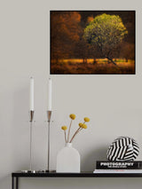 "Morning light" Poster och Canvastavla