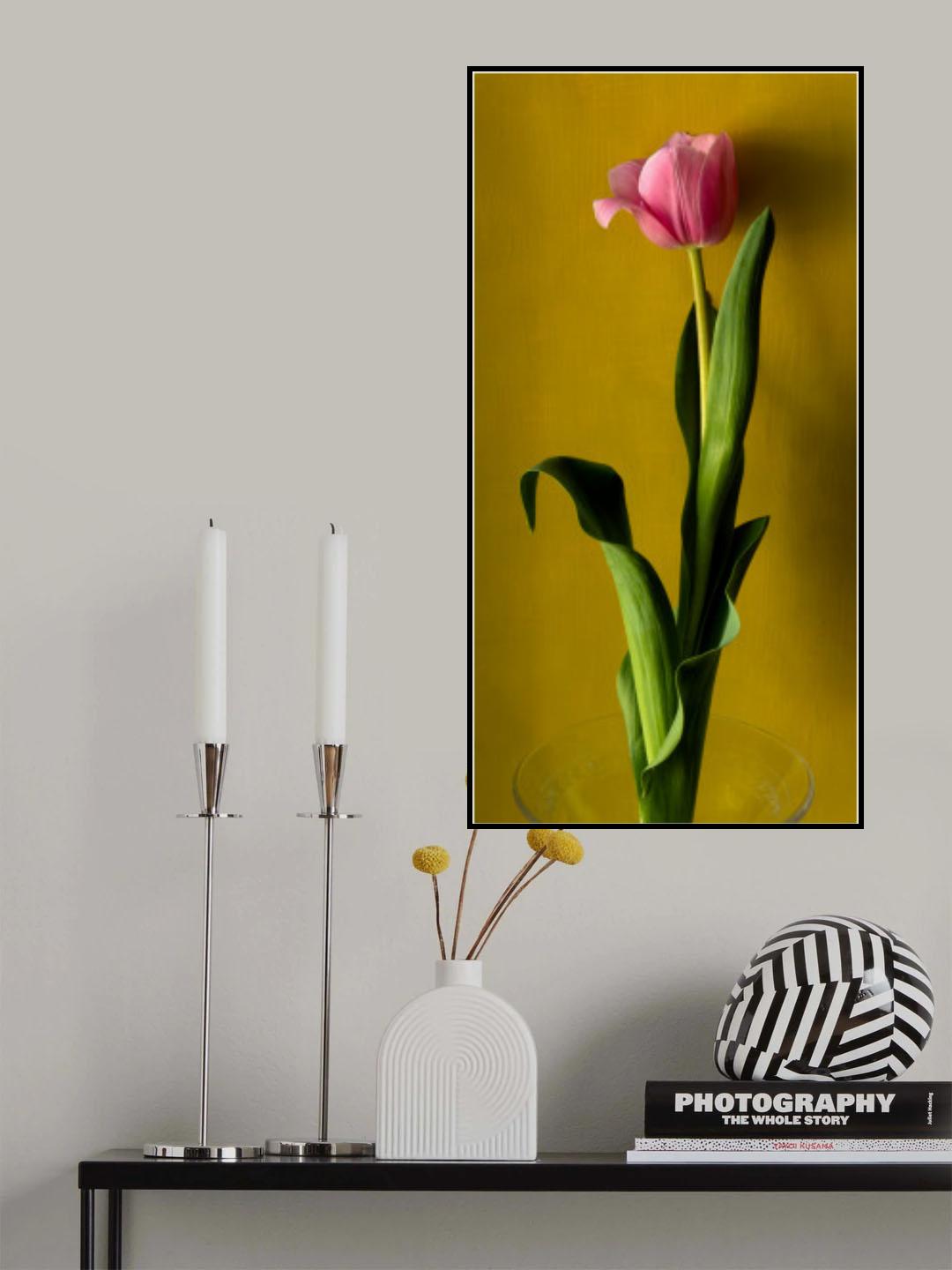 Tulip2 Poster och Canvastavla