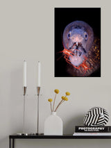 SYMBIOSIS Poster och Canvastavla