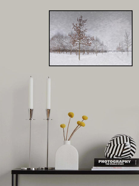 Winter countryside Poster och Canvastavla