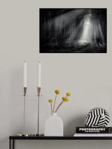 Walk at noon Poster och Canvastavla