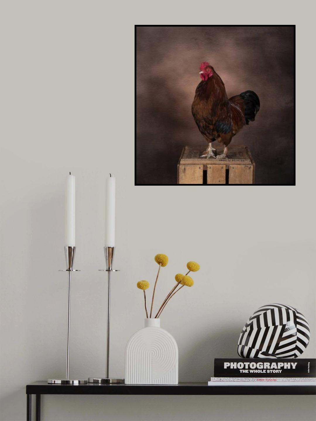 Rooster Poster och Canvastavla