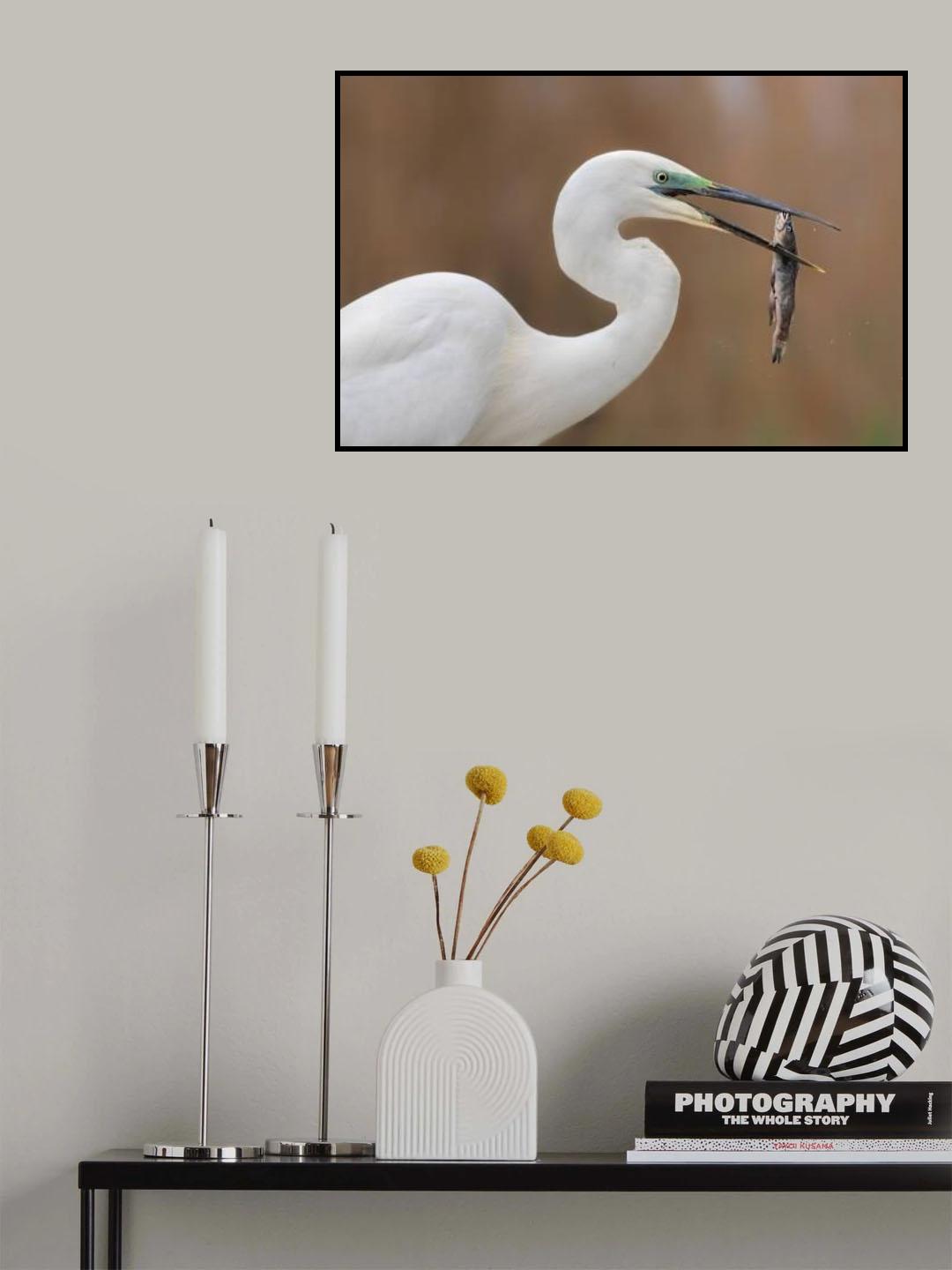 The Last "Kiss" Poster och Canvastavla