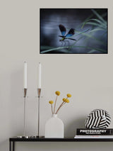 dragonfly Poster och Canvastavla