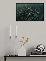 Circling Rays Poster och Canvastavla