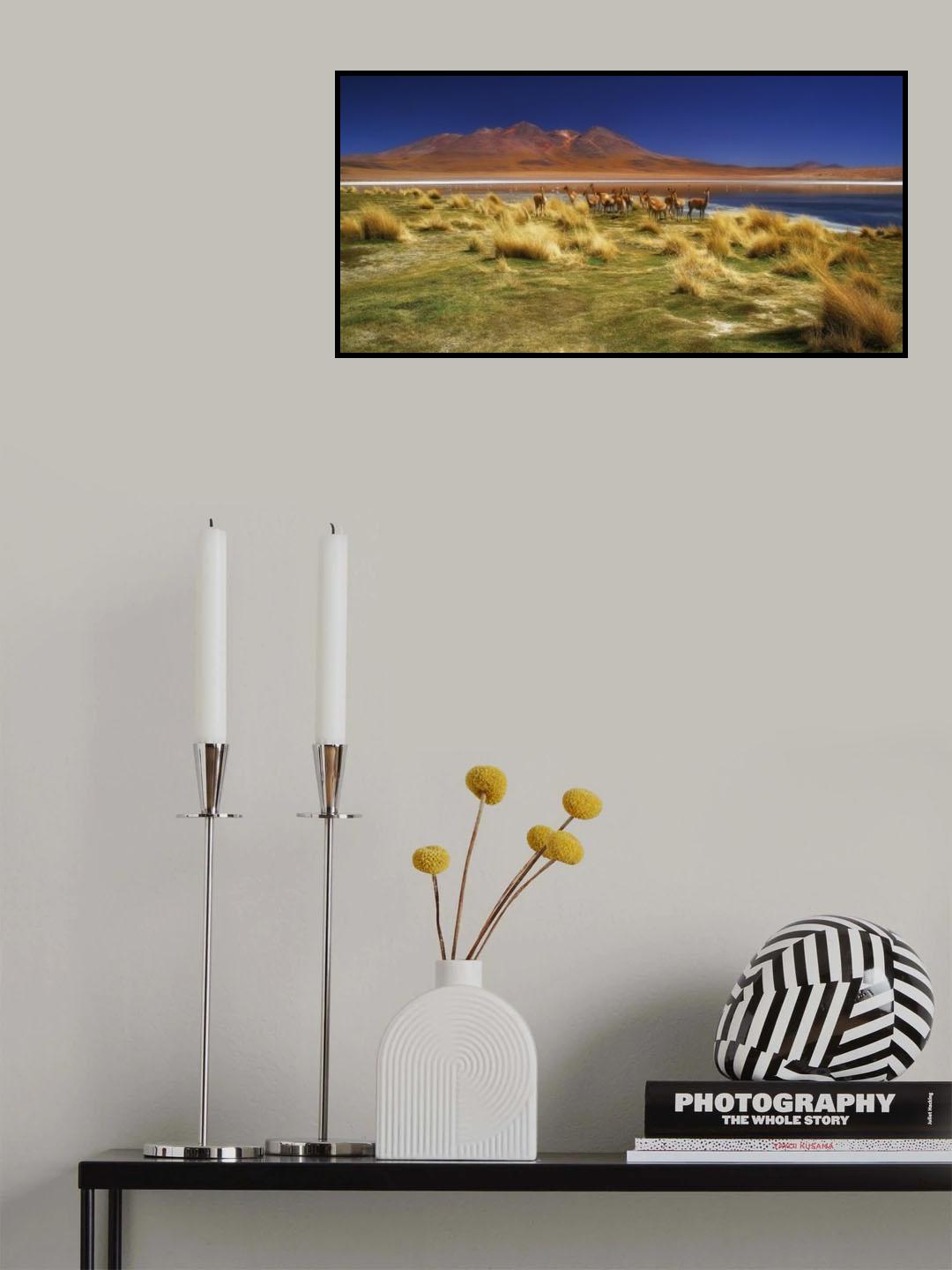 The Timid Gold of the Ands Poster och Canvastavla