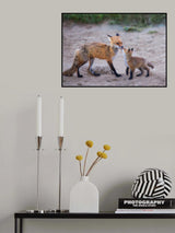 Love Poster och Canvastavla