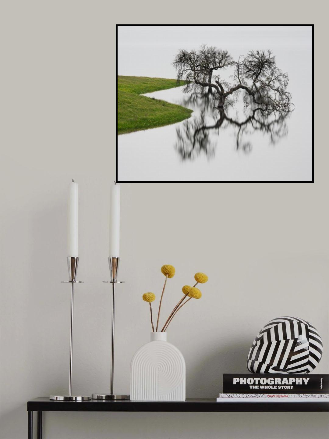 Silver Poster och Canvastavla