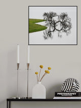 Silver Poster och Canvastavla