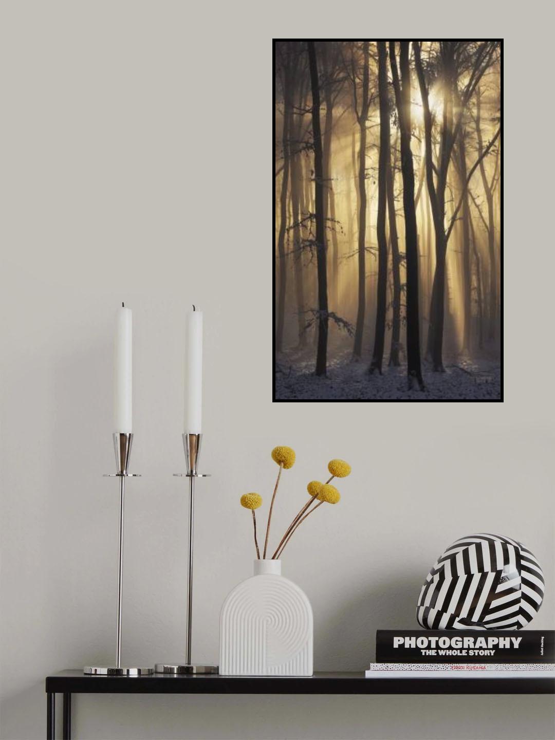 Into the Light Poster och Canvastavla