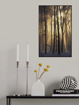 Into the Light Poster och Canvastavla