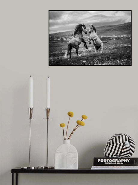 Wild and free Poster och Canvastavla