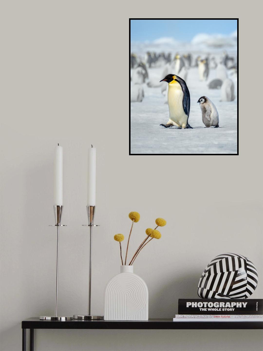 Follow me Poster och Canvastavla