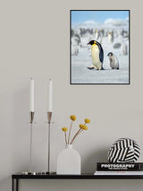 Follow me Poster och Canvastavla
