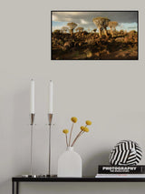 evening light Poster och Canvastavla