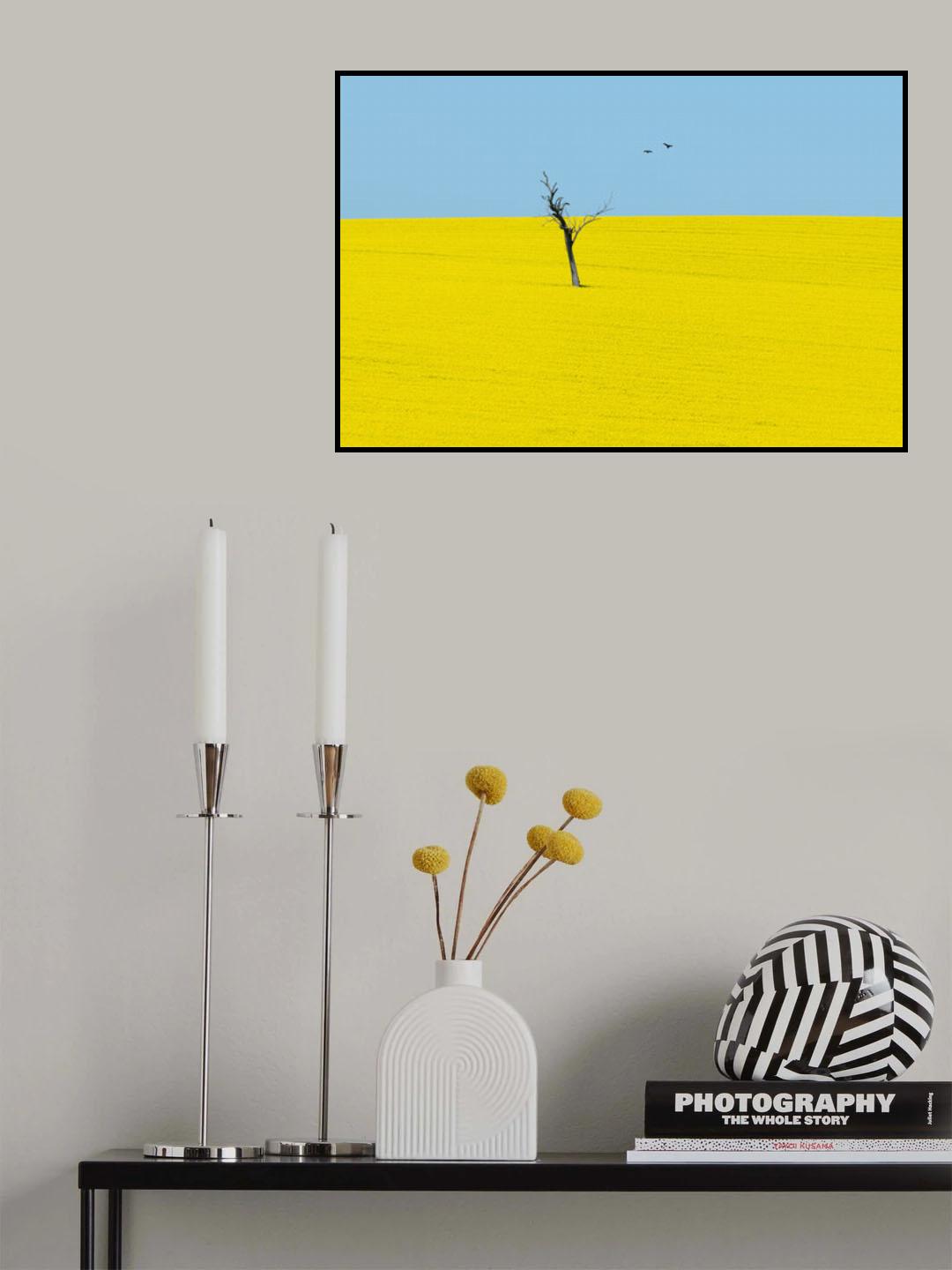 Canola Flowers Poster och Canvastavla