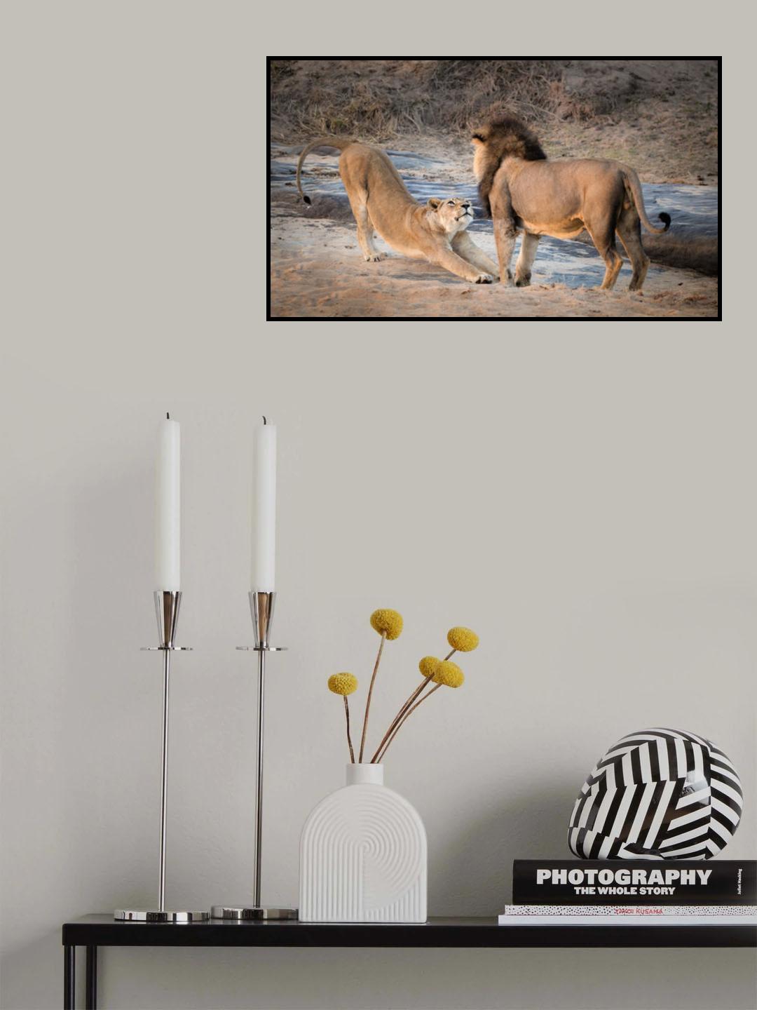 Smitten Poster och Canvastavla