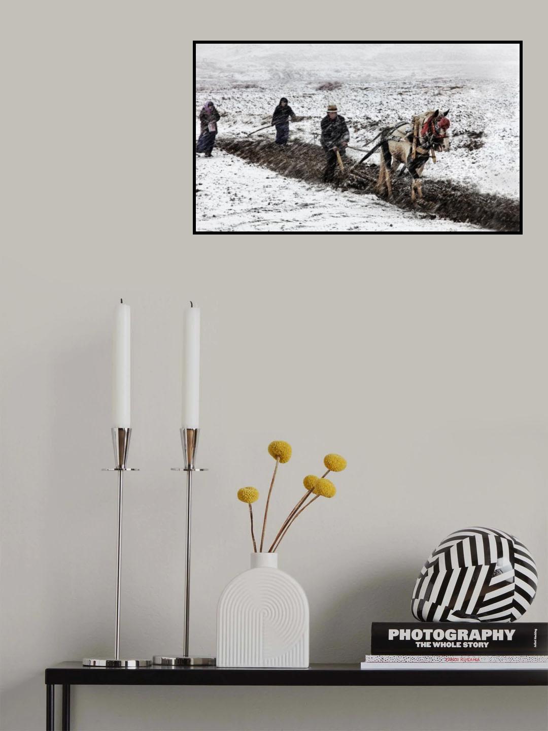 Spring Snow Poster och Canvastavla