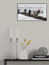 Spring Snow Poster och Canvastavla