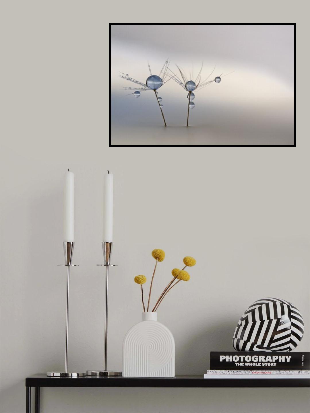 Soft light Poster och Canvastavla