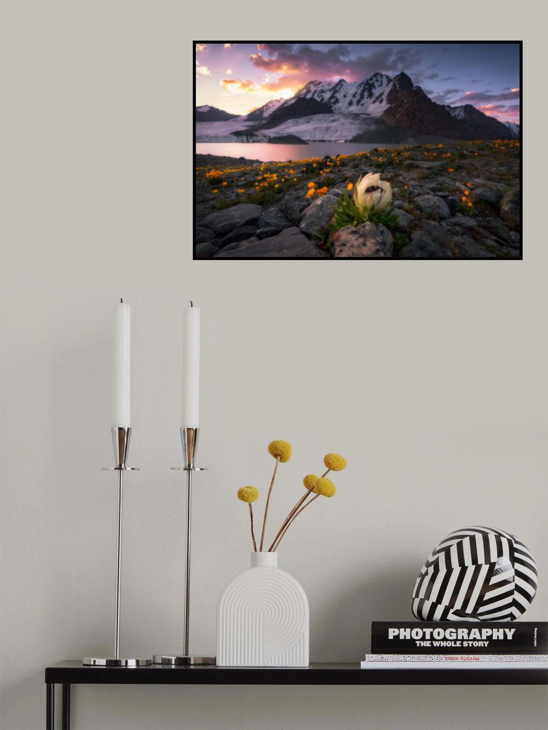 Morning Saussurea Poster och Canvastavla